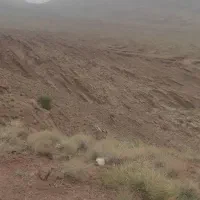 زمین علی آباد سفلی