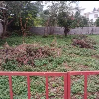 فروش انواع زمین داخل شهر رامسر
