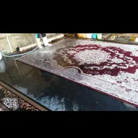 قالیشویی مروارید