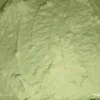 ماست و کره سر ولایت در  مشهد