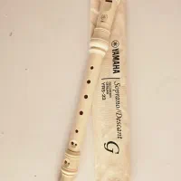 فلوت ریکوردر