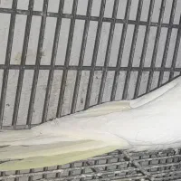فروش عروس هلندی ومرغ عشق