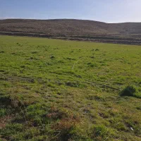 زمین کشاورزی بیضا کنار آزاد جدید|فروش دفتر صنعتی، کشاورزی، تجاری|بانش, |دیوار