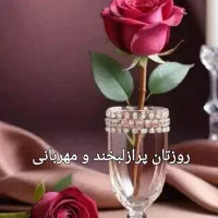 به پرستار سالمند خانم پوشکی نیازمندیم.