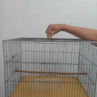 قفس طوطی  قناری