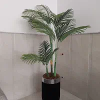 درختچه خارجی با گلدان
