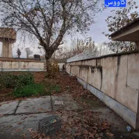 شاخ گوزنی ساخت تولید