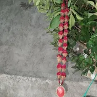 گردن بند میخک