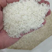 برنج دم سیاه|خوردنی و آشامیدنی|مهدی شهر, |دیوار