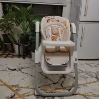 صندلی غذا خارجی