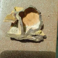 سنگ تزئینی/ دکوری