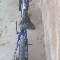 دوچرخه|دوچرخه، اسکیت، اسکوتر|بندر گناوه, |دیوار