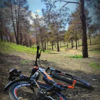 دوچرخه ویوا سناتور 29