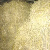 کولش یا کاه برنج بسته بندی