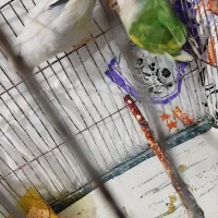 کوتوله نروماده قیمت مناسب