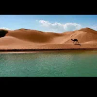 چابهار گردی|تور و چارتر|چابهار, |دیوار