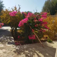 خانه-باغ-روستایی-باسازی-شده-جای-دنج-وآرام