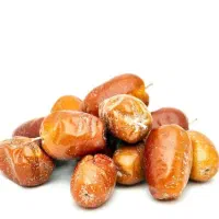پیش فروش نهال سنجد بدون خار|خدمات باغبانی و درختکاری|سی‌سخت, |دیوار