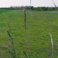 ۷۰۰۰مترزمین چسبیده به شهرک مسکونی