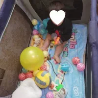 تخت پارک|اسباب و اثاث بچه|مراغه, |دیوار