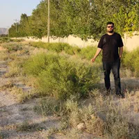 خریدار خارشتری کاه جو گندم پرس یونجه|خدمات باغبانی و درختکاری|مشهد, ده دی|دیوار