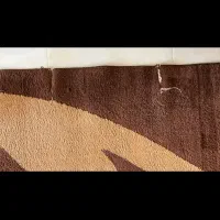 فرش 9متری برجسته|فرش|بوئین زهرا, |دیوار