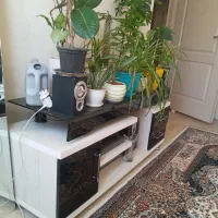 میزتلویزیون سالم فروش به علت کمبودجا
