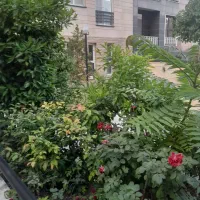 کلنکی-پیشوا-225متر-جنوبی