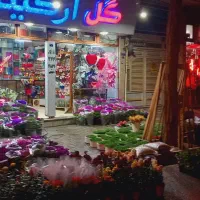 همکار نیازمندیم