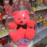 گل قیفی و شانه ای تولید و پخش|کلکسیون و سرگرمی|گرگان, |دیوار