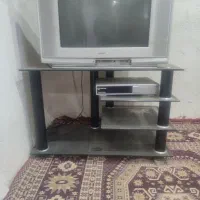 تلویزیون