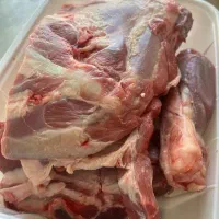 گوشت|عمده‌فروشی|محمدشهر, محمدشهر|دیوار