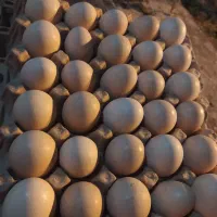 تخم مرغ محلی