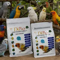 سرلاک پرندگان DIBO (بهترین کیفیت به ضمانت)