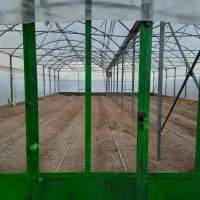 فروش گلخانه روستای چالابه|فروش زمین و ملک کلنگی|کرمانشاه, |دیوار