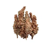 سماق ترش محلی