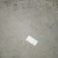 پیدا شده