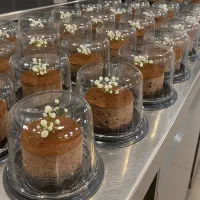 انواع کیک و چیز کیک