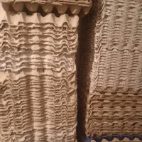 شانه تخم مرغ برای انغوزه