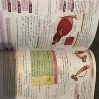 زیست یازدهم زیر ذره بین|کتاب و مجله آموزشی|بروجرد, |دیوار