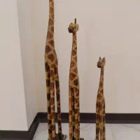 سه عدد زرافه بزرگترینش یک متره در سه سایز