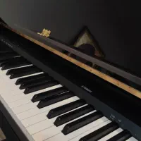 مدرس پیانو دانشجوی نوازندگی