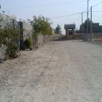 زمین1000متری جاده آسفالته کاهو مجتمع چمن آرا|فروش زمین و ملک کلنگی|گلمکان, |دیوار