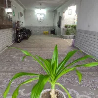 خانه ویلایی|فروش خانه و ویلا|پیر بکران, |دیوار