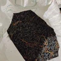 مویز سیاه دشمن زیاری|خوردنی و آشامیدنی|دشمن زیاری, |دیوار