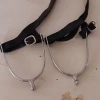 لوازم اسب سواری و اسب داری|اسب و تجهیزات اسبسواری|ارومیه, |دیوار