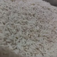 فروش برنج هاشمی