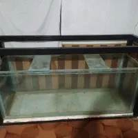 اکواریوم 10 میل سفارشی|ماهی|بناب, |دیوار