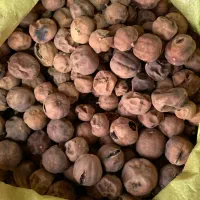 لیمو عمانی پودری