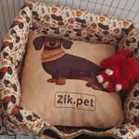 وسایل سگ|لوازم جانبی حیوانات|پرند, فاز ۵|دیوار